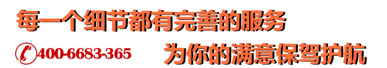 翻领T恤衫TX0020(pic6)