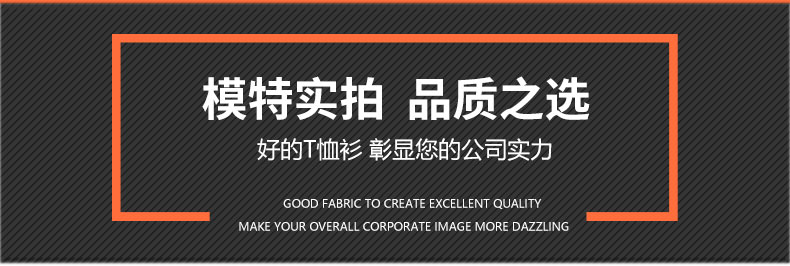 翻领T恤衫TX0020(pic17)